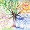 Gorey Therapy Centre Wexford